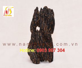 Trầm cảnh NT 54