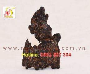 Trầm cảnh NT 41