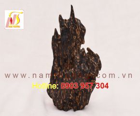 Trầm cảnh NT 60