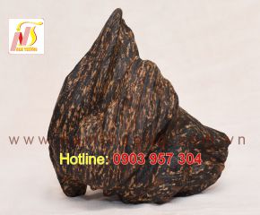 Trầm cảnh NT 59