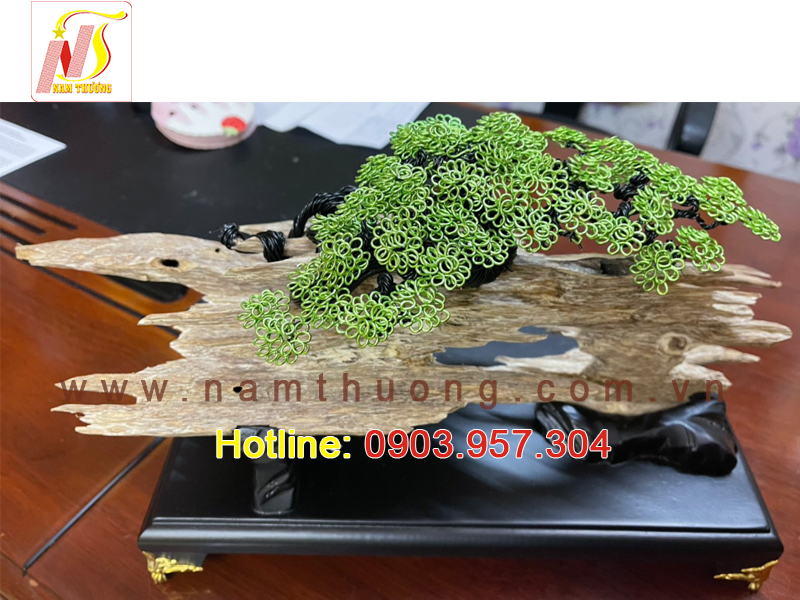 Trầm cảnh NT 79